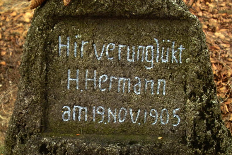 IMG11640 Hermannuv pomnicek - detail